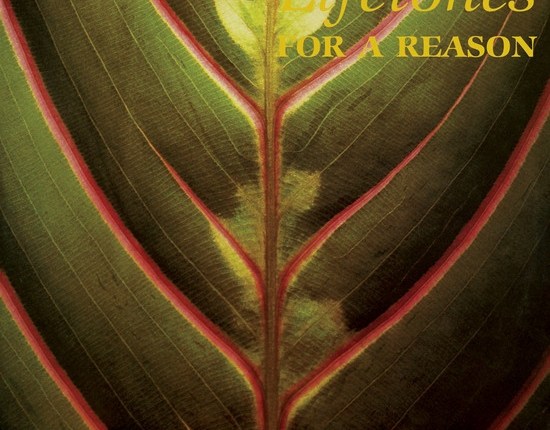 lifetones ‎– for a reason (finally&nbsp;reissued)