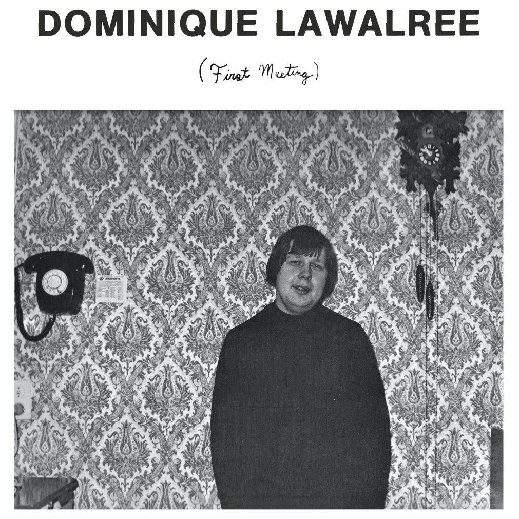 dominique-lawalree-fm-cover-art